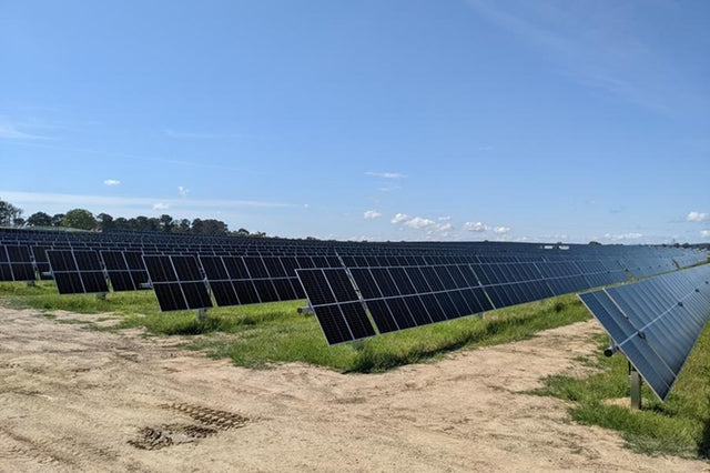FRV Australia achieves 100% capacity with 115 MW solar farm