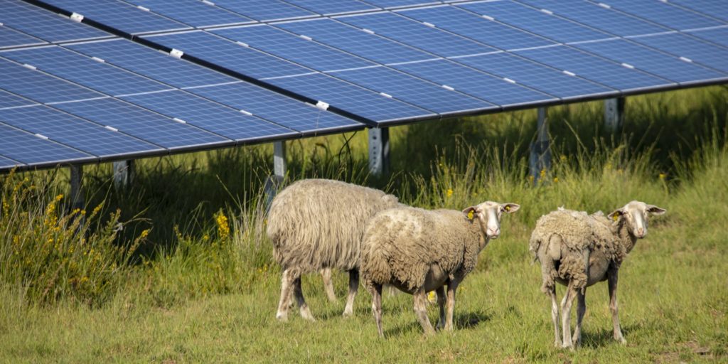 Photovoltaik-Ausschreibung in Frankreich endet mit einem Durchschnittspreis von 7,689 Cent pro Kilowattstunde